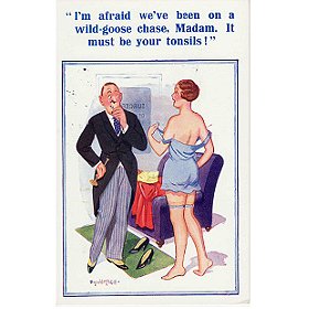 Censored at the Seaside: The Saucy Postcards of Donald McGill