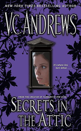 Secrets in the Attic (Secrets, Book 1)
