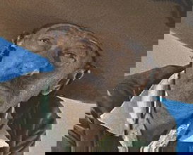 Livio Lorenzon pictures and photos