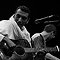 Bombino