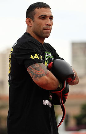 Fabricio Werdum