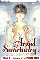 Angel Sanctuary, Vol.11