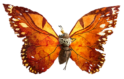 Insect Queen
