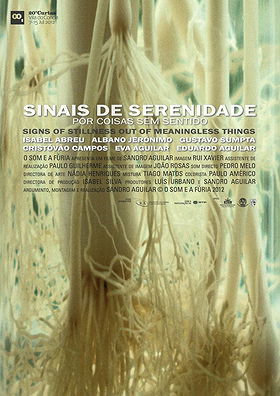 Sinais de Serenidade (2012)