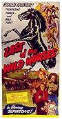 Last of the Wild Horses