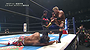 Kazuchika Okada vs. Hiroshi Tanahashi (NJPW, Wrestle Kingdom 10)