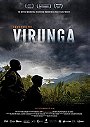 Virunga