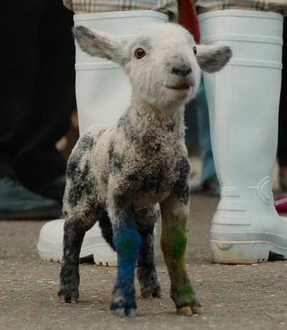 Winter Lamb