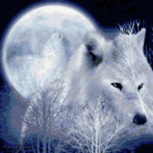 Lunij_wolk_92