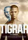 Tigers