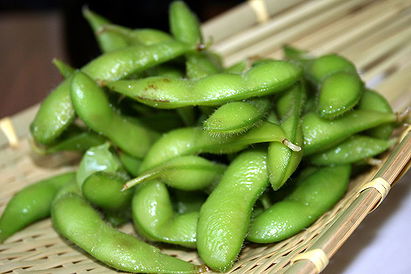 Edamame Bean