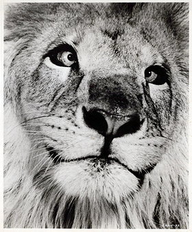 Clarence