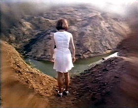 Jane Brown's Body