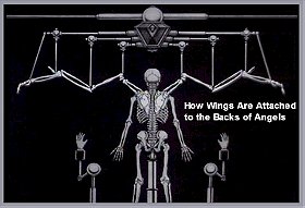 How Wings Are Attached to the Backs of Angels