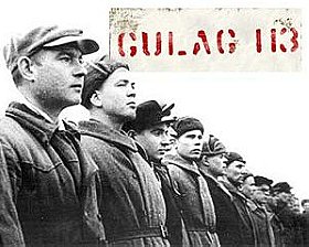 Gulag 113