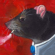 Ratão do Banhado