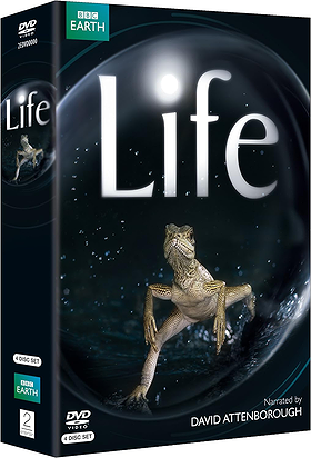 Life