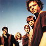 Gin Blossoms