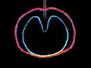 Wasp Star (Apple Venus Volume 2)