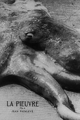 The Octopus (1928)