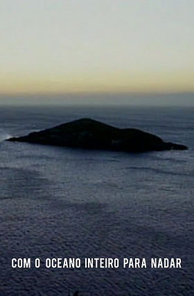 Com O Oceano Inteiro Para Nadar