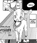 Koyagi Little Goat