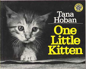 One Little Kitten