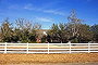 1073 Chapman Rd, Crawford, TX 76638