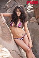 Tanit Phoenix