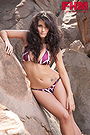 Tanit Phoenix