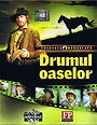 Drumul oaselor