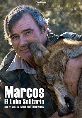 Marcos, el lobo solitario