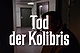 Tod der Kolibris