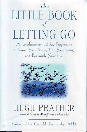 Little Book of Letting Go: A Revolutionary 30-Day Program to Cleanse Your Mind, Lift Your Spirit and Replenish Your Soul