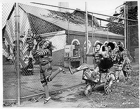 Robin Lamont robin lamont