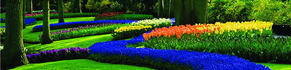 Reno Lawn Maintenance
