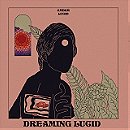 Dreaming Lucid