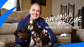 Amanda to the Rescue: Where Are They Now?