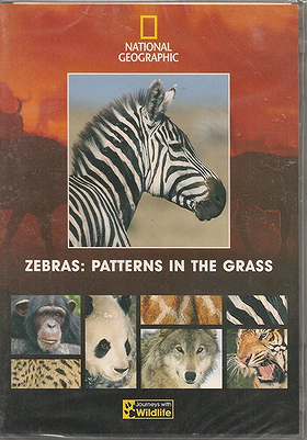 Journeys with Wildlife - Zebras: Patterns in the Grass