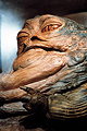 Jabba the Hutt