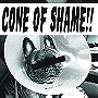 Cone Of Shame (Green)