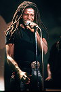 Eddy Grant