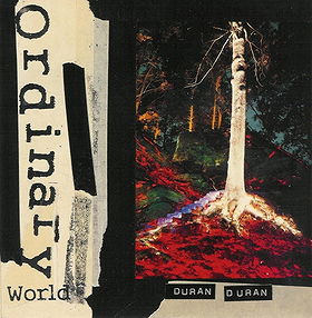 Ordinary World