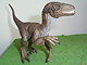 Schleich Velociraptor