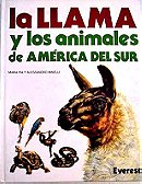Llama y Los Animales de Am. del Sud (Spanish Edition)