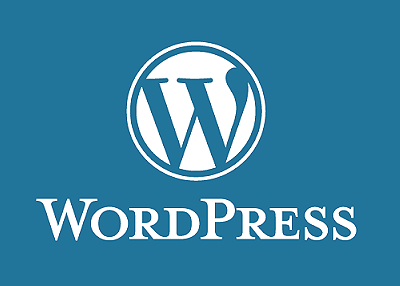 Custom WordPress Development Services In India wordpress development company in india