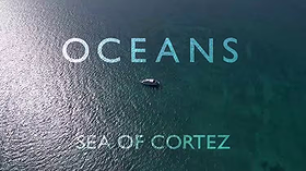Oceans