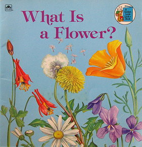 What Is a Flower? (Look-Look)