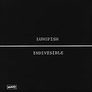 Lungfish - Indivisible