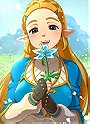 Princess Zelda (Breath of the Wild)
